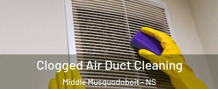  Clogged Air Duct Cleaning Middle Musquodoboit - NS