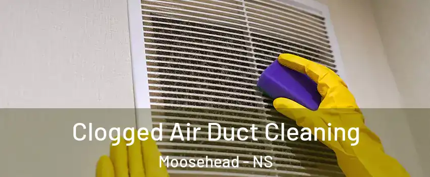  Clogged Air Duct Cleaning Moosehead - NS