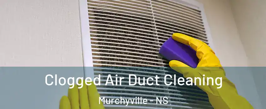  Clogged Air Duct Cleaning Murchyville - NS