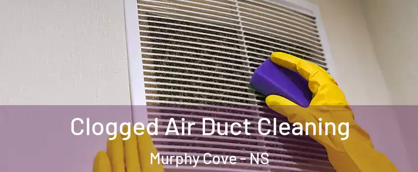  Clogged Air Duct Cleaning Murphy Cove - NS