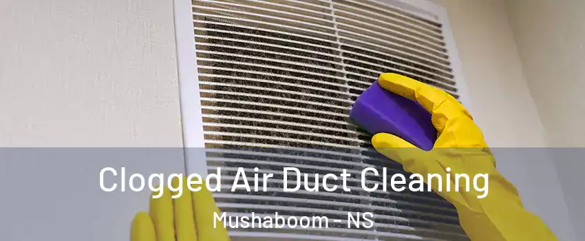  Clogged Air Duct Cleaning Mushaboom - NS