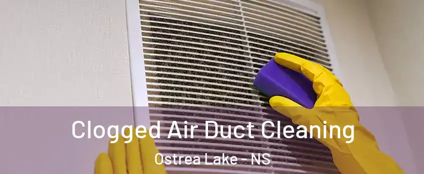  Clogged Air Duct Cleaning Ostrea Lake - NS