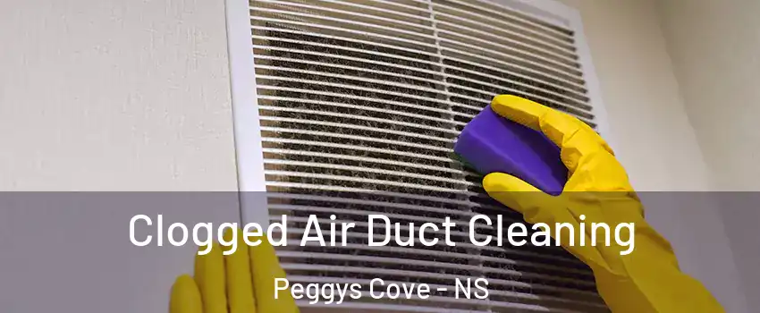  Clogged Air Duct Cleaning Peggys Cove - NS