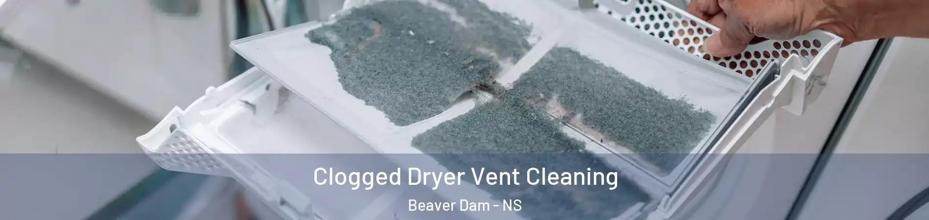  Clogged Dryer Vent Cleaning Beaver Dam - NS