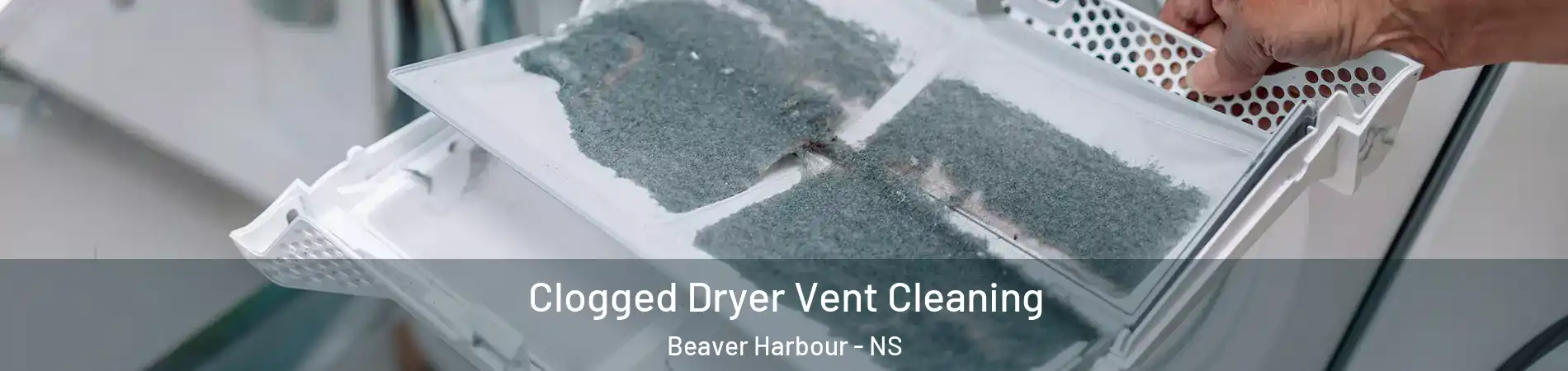  Clogged Dryer Vent Cleaning Beaver Harbour - NS