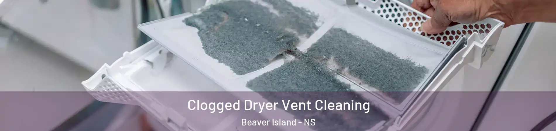  Clogged Dryer Vent Cleaning Beaver Island - NS