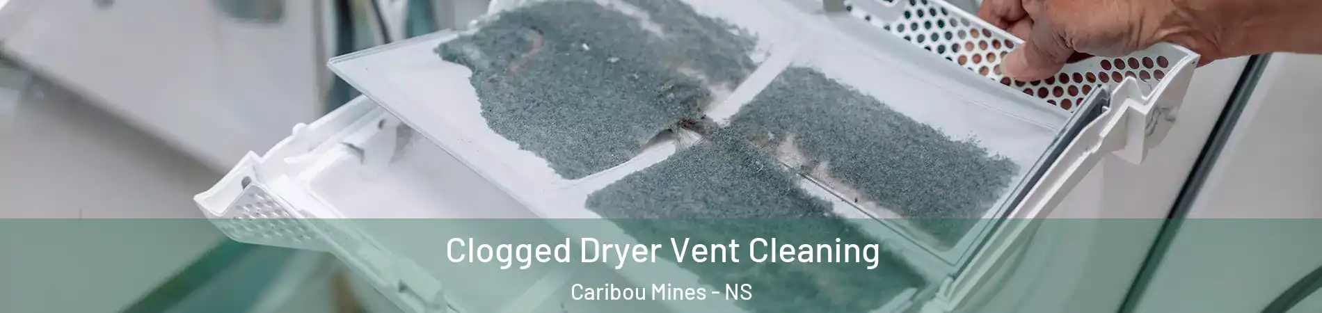  Clogged Dryer Vent Cleaning Caribou Mines - NS