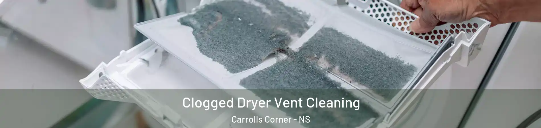  Clogged Dryer Vent Cleaning Carrolls Corner - NS