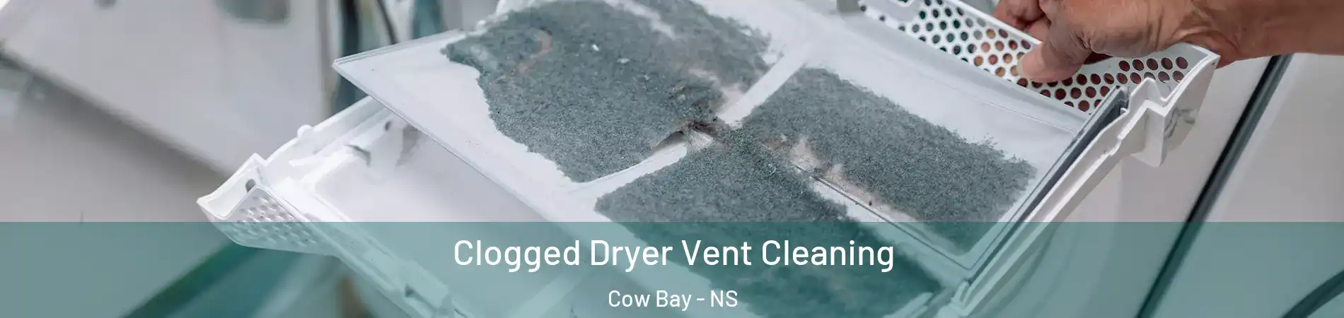  Clogged Dryer Vent Cleaning Cow Bay - NS