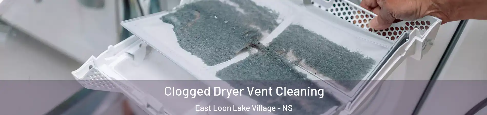  Clogged Dryer Vent Cleaning East Loon Lake Village - NS
