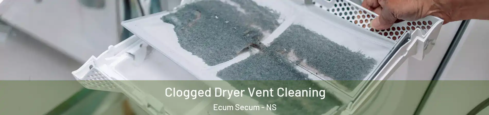  Clogged Dryer Vent Cleaning Ecum Secum - NS