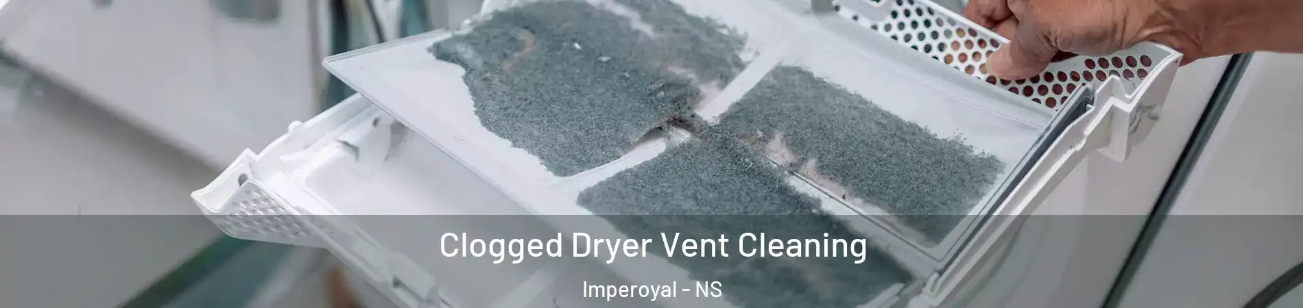  Clogged Dryer Vent Cleaning Imperoyal - NS