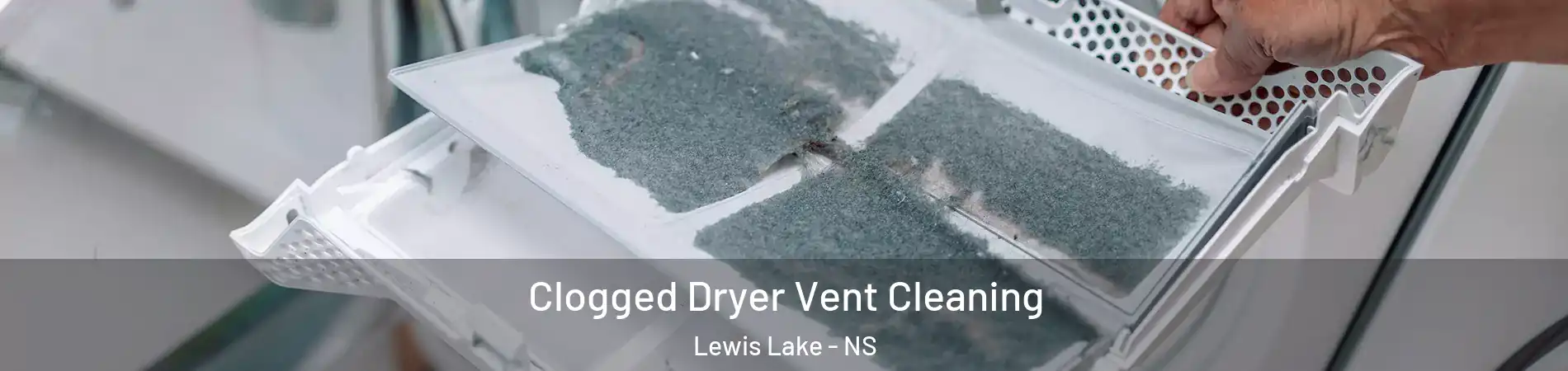  Clogged Dryer Vent Cleaning Lewis Lake - NS