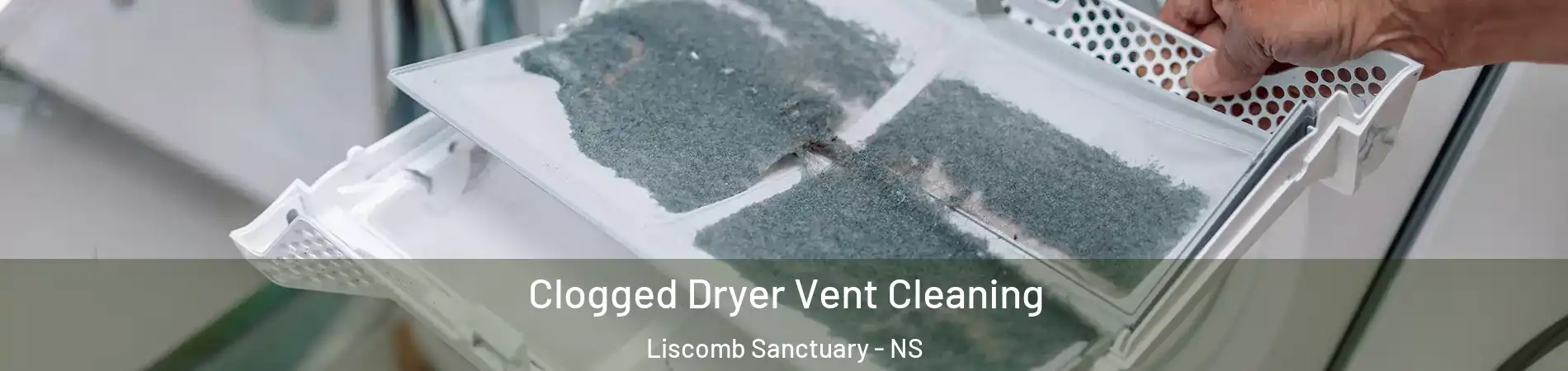  Clogged Dryer Vent Cleaning Liscomb Sanctuary - NS