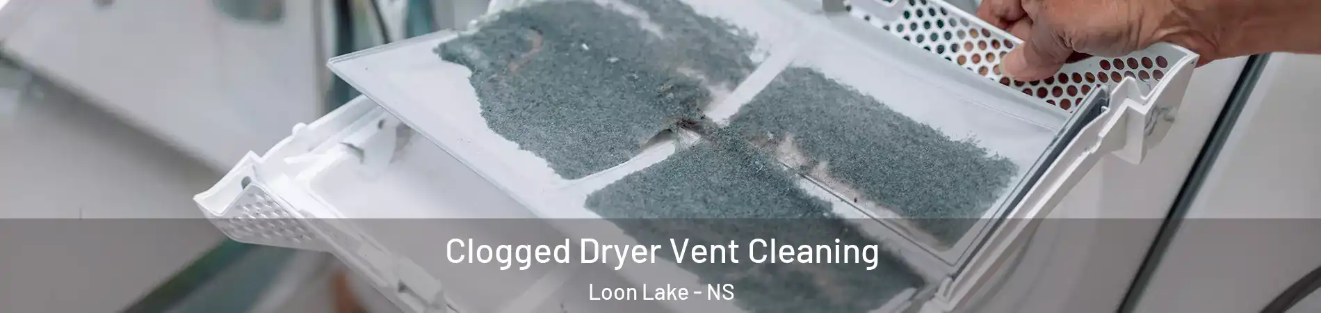  Clogged Dryer Vent Cleaning Loon Lake - NS