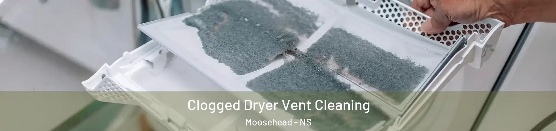  Clogged Dryer Vent Cleaning Moosehead - NS