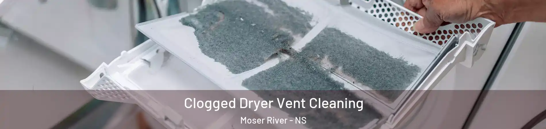  Clogged Dryer Vent Cleaning Moser River - NS