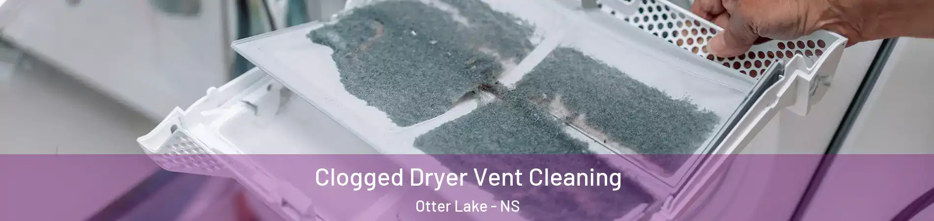  Clogged Dryer Vent Cleaning Otter Lake - NS