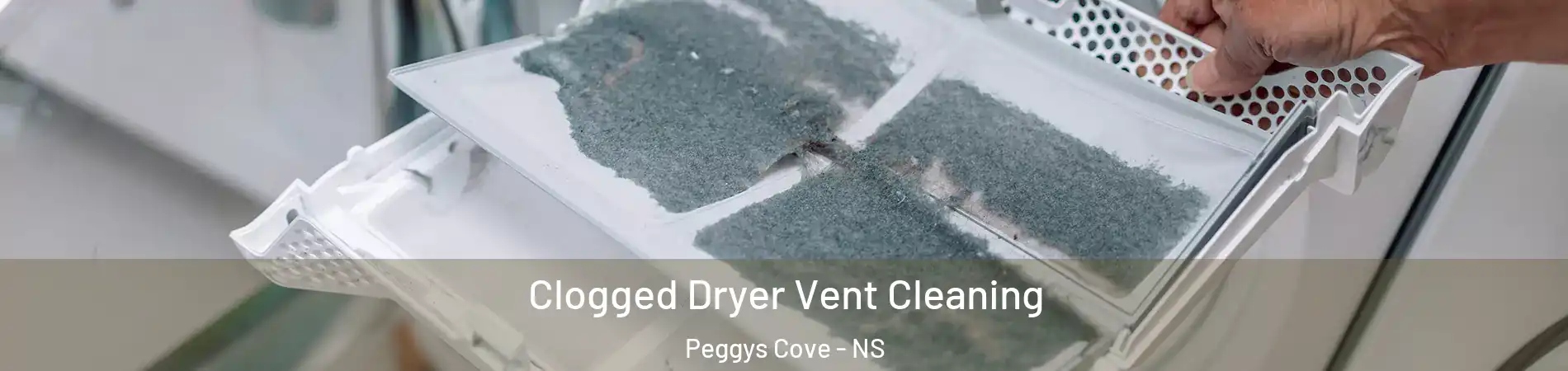  Clogged Dryer Vent Cleaning Peggys Cove - NS