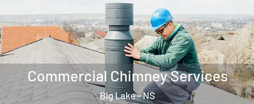  Commercial Chimney Services Big Lake - NS