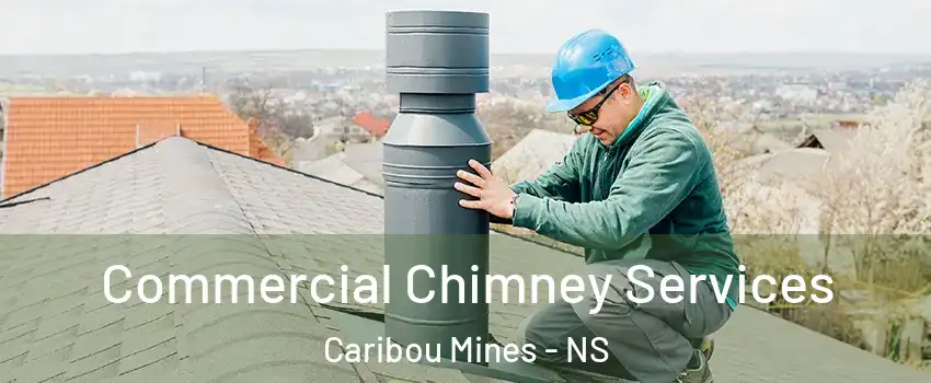  Commercial Chimney Services Caribou Mines - NS