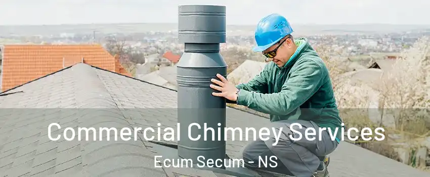  Commercial Chimney Services Ecum Secum - NS
