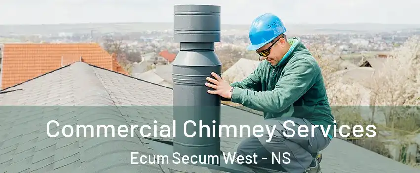 Commercial Chimney Services Ecum Secum West - NS