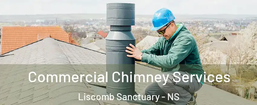  Commercial Chimney Services Liscomb Sanctuary - NS