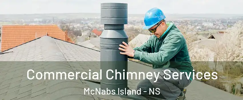  Commercial Chimney Services McNabs Island - NS