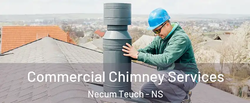  Commercial Chimney Services Necum Teuch - NS