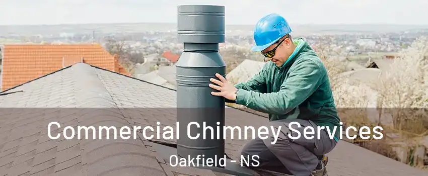 Commercial Chimney Services Oakfield - NS