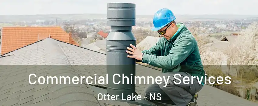  Commercial Chimney Services Otter Lake - NS