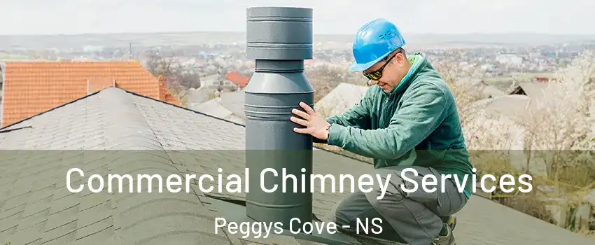  Commercial Chimney Services Peggys Cove - NS