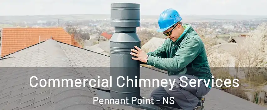  Commercial Chimney Services Pennant Point - NS
