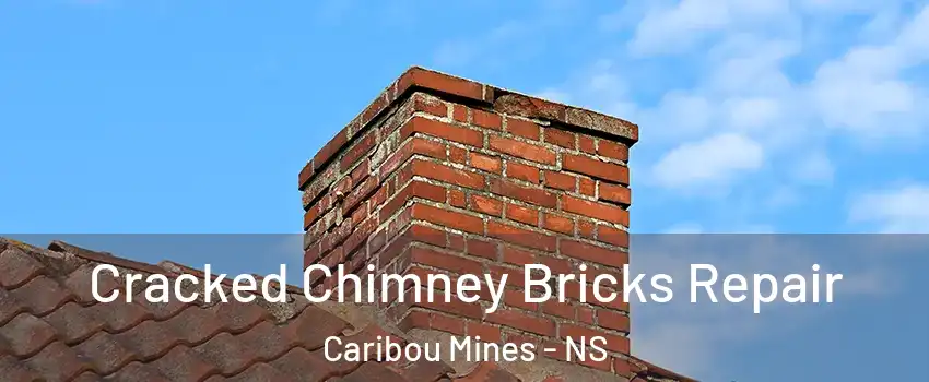  Cracked Chimney Bricks Repair Caribou Mines - NS