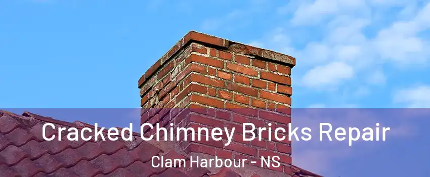  Cracked Chimney Bricks Repair Clam Harbour - NS