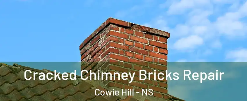  Cracked Chimney Bricks Repair Cowie Hill - NS