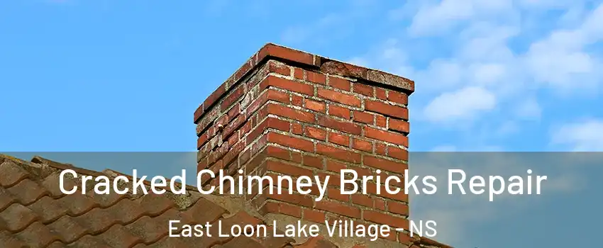  Cracked Chimney Bricks Repair East Loon Lake Village - NS
