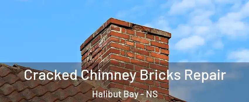  Cracked Chimney Bricks Repair Halibut Bay - NS