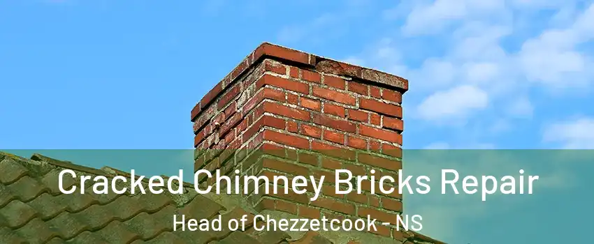  Cracked Chimney Bricks Repair Head of Chezzetcook - NS