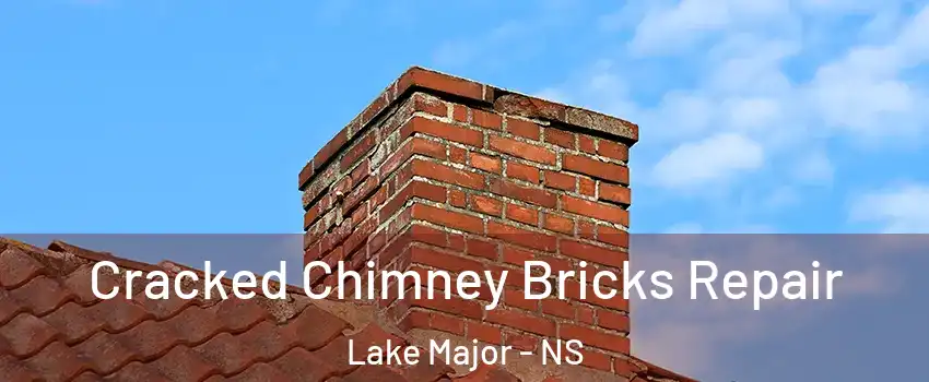  Cracked Chimney Bricks Repair Lake Major - NS