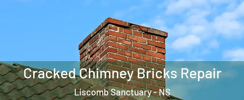  Cracked Chimney Bricks Repair Liscomb Sanctuary - NS