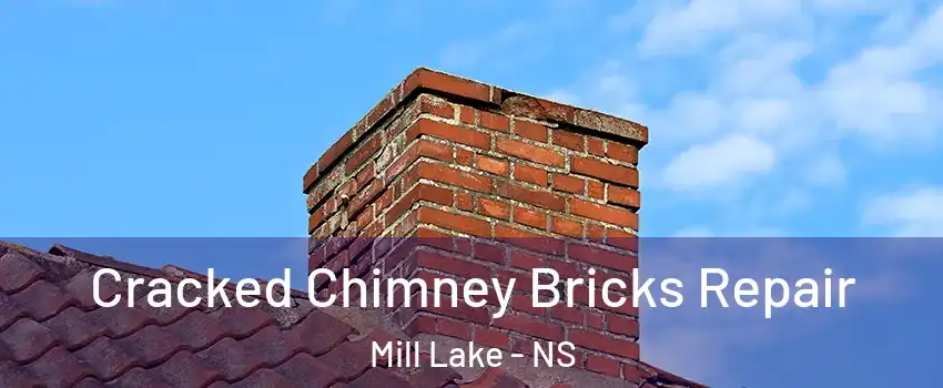  Cracked Chimney Bricks Repair Mill Lake - NS