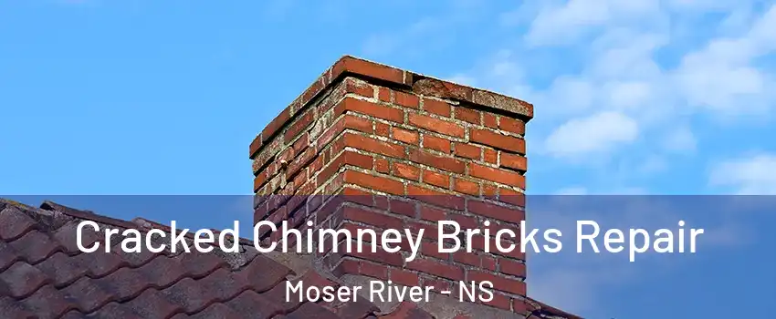  Cracked Chimney Bricks Repair Moser River - NS