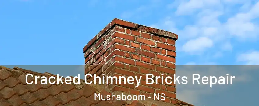  Cracked Chimney Bricks Repair Mushaboom - NS