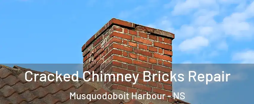  Cracked Chimney Bricks Repair Musquodoboit Harbour - NS
