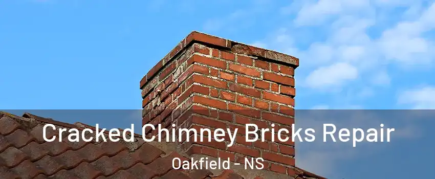  Cracked Chimney Bricks Repair Oakfield - NS