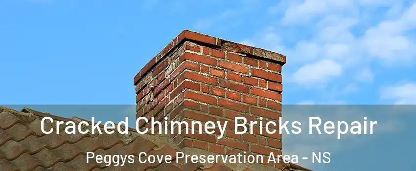  Cracked Chimney Bricks Repair Peggys Cove Preservation Area - NS
