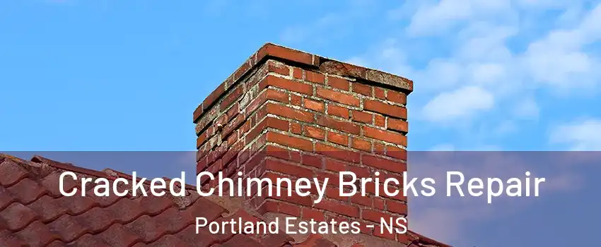  Cracked Chimney Bricks Repair Portland Estates - NS