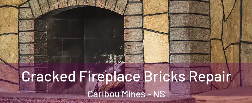  Cracked Fireplace Bricks Repair Caribou Mines - NS